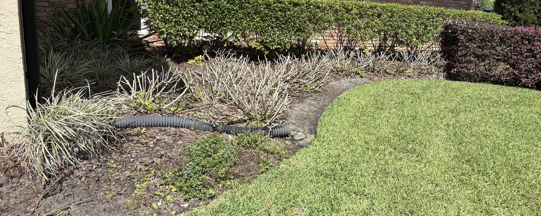 Front lawn cut and edged with shaped hedges along a brick home