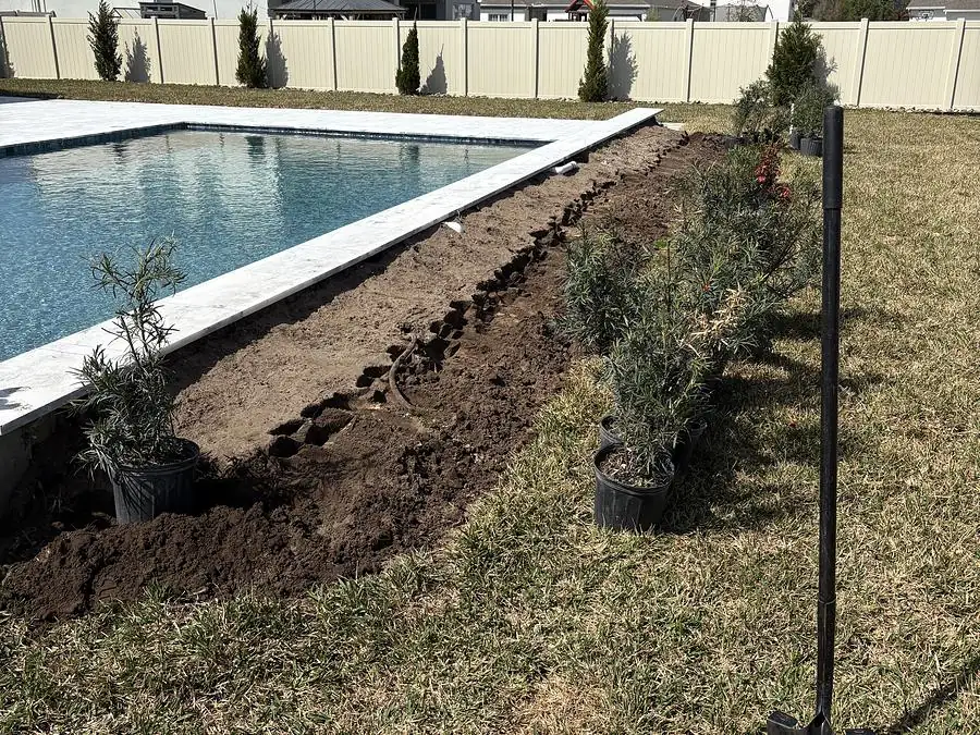 Freshly excavated planting bed with young shrubs staged along a backyard pool