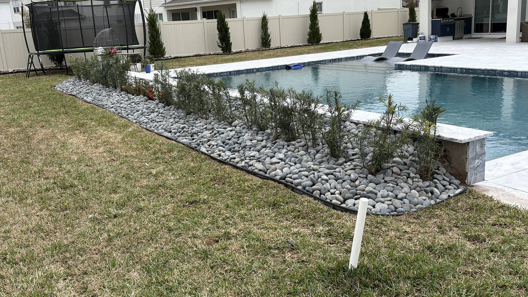 Landscaped pool surround with a river rock border, new hedge row, and cut lawn