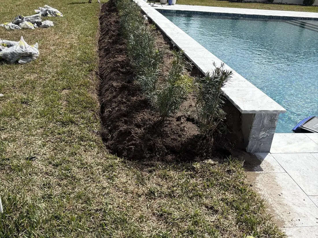 Freshly dug planting trench with mounded soil running beside a capped pool wall
